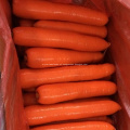 Factory Directly Supply Fresh Carrot